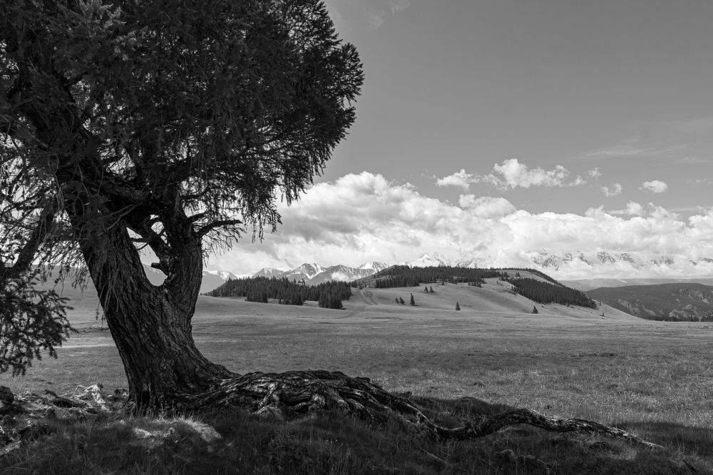 Photograph by Сергей Андрейчук