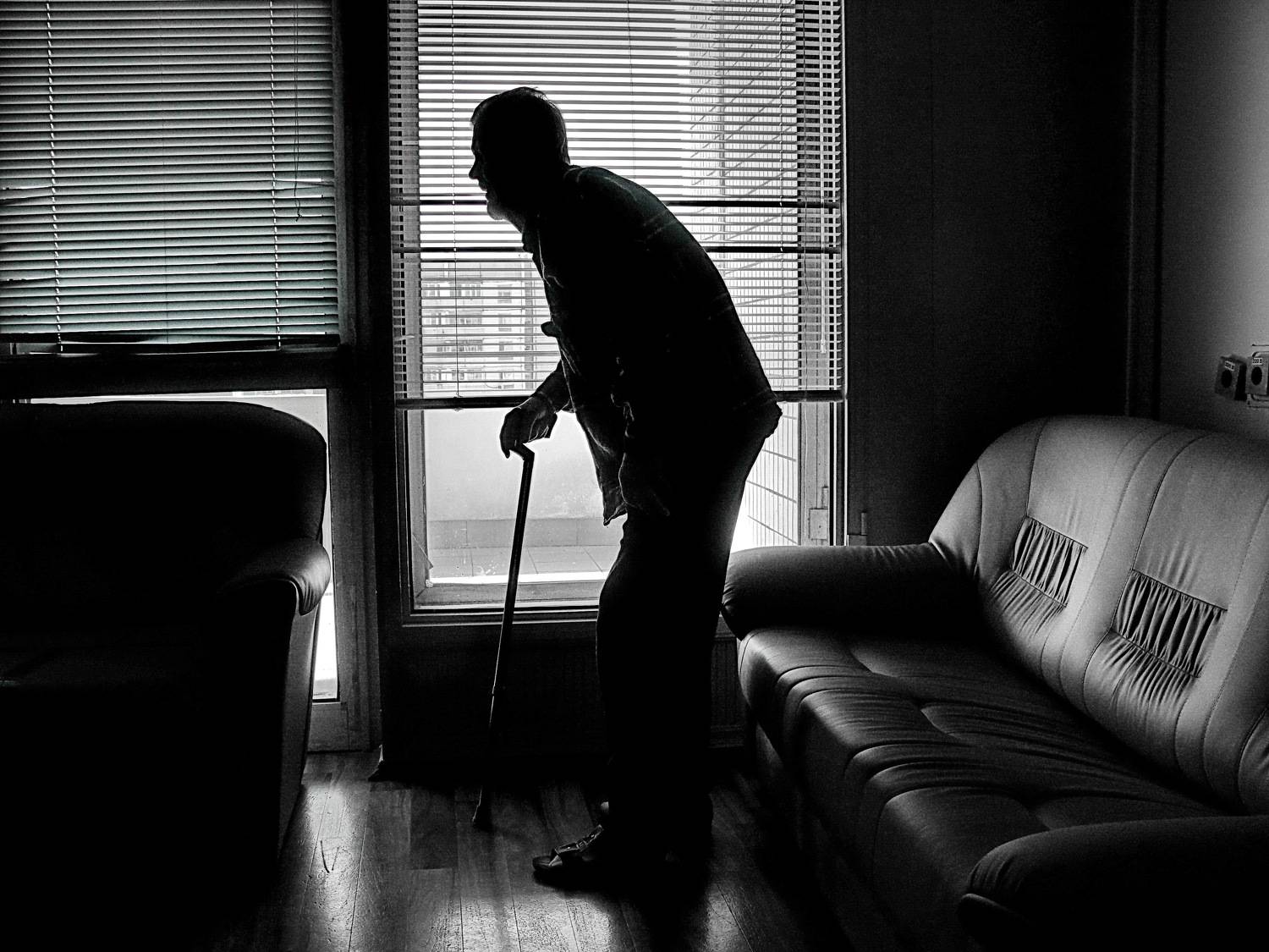 Photo #7736465