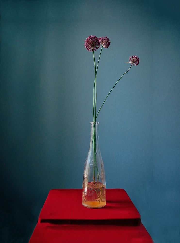 Photograph by Наталия Шляпина