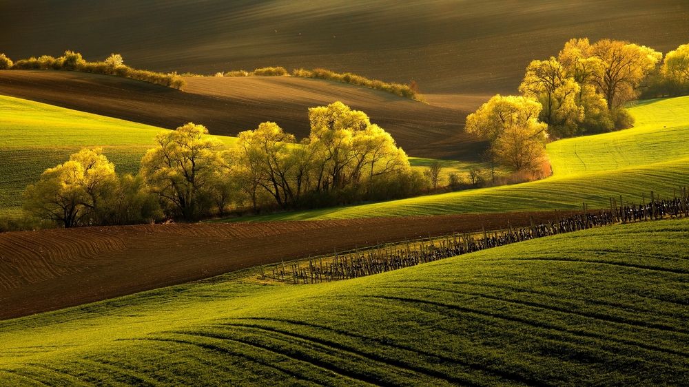 Photograph by Michal Krejčíř