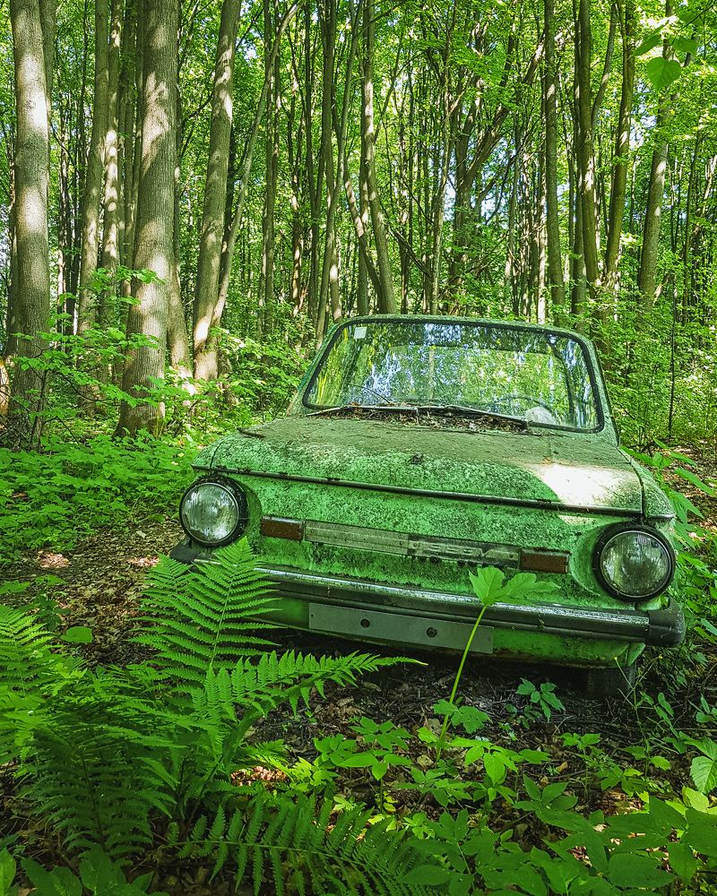 Воссоединение с природой