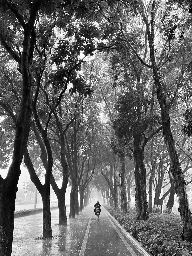 Photograph by Анна Щекочихина