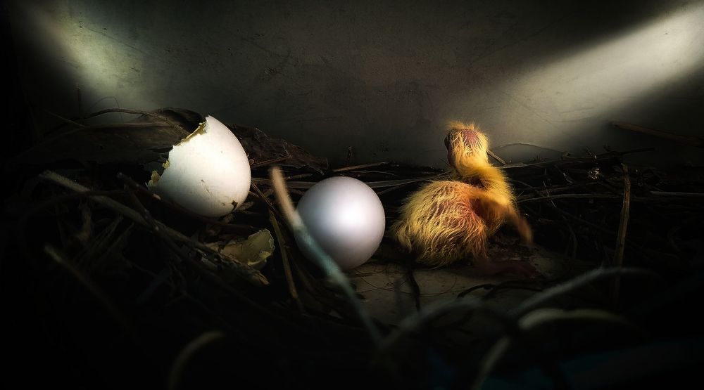 Photograph by Hait Dama