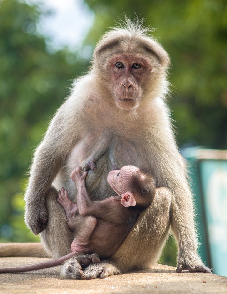 Photograph by Akhil Salim