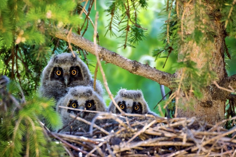 Фотография автора Дмитрий