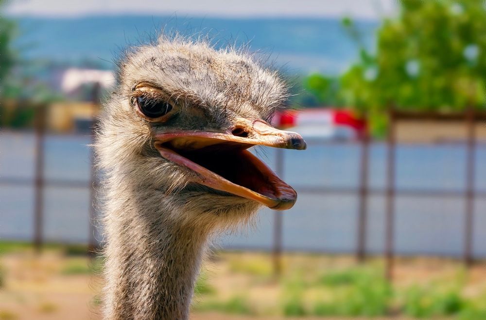 Фотография автора Дмитрий