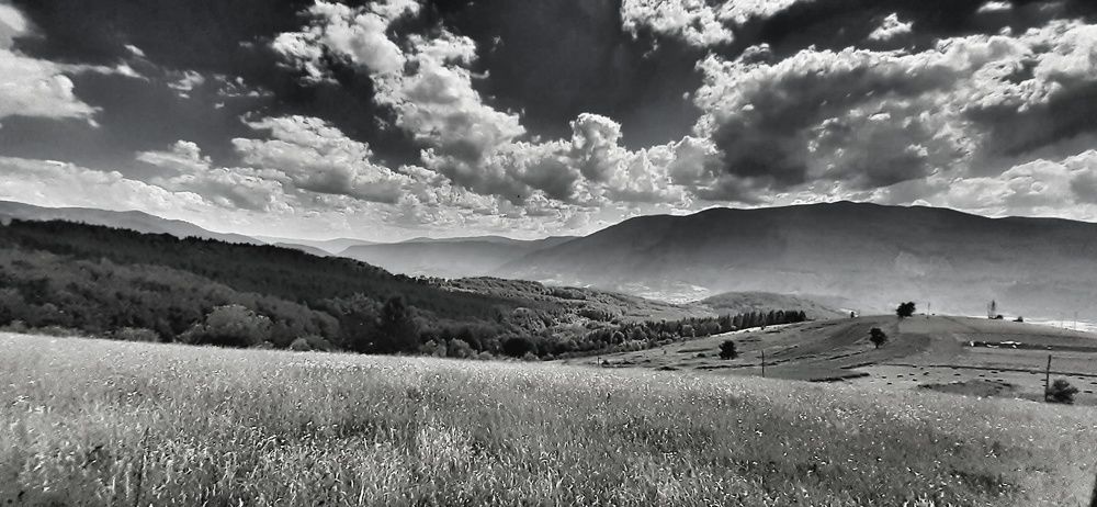 Фотография автора Milan Stipanovic