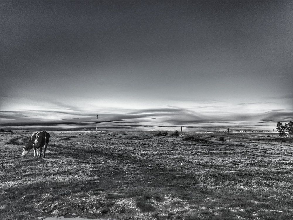 Фотография автора Milan Stipanovic