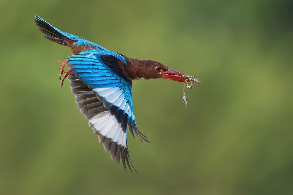 Photograph by Graeme Guy