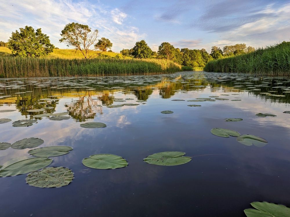 Вечер в деревне.