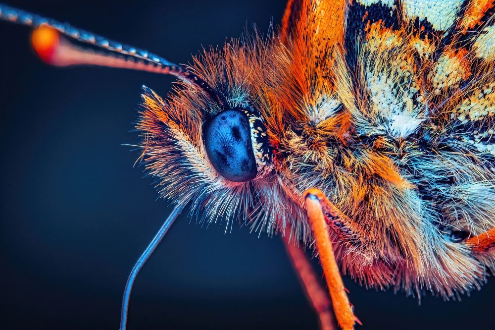 Photograph by Парфентьев Антон