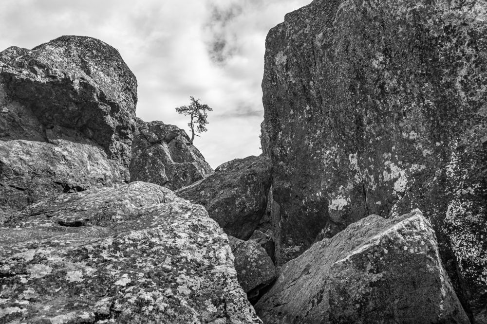 Photograph by Максим Сорокин