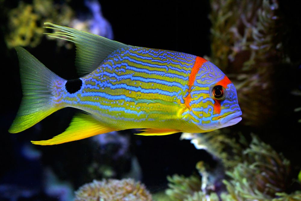 Photograph by Шмидт Юрген