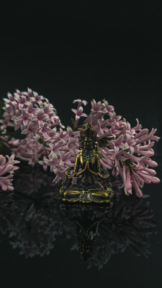 Фотография автора Марина Алексеевская