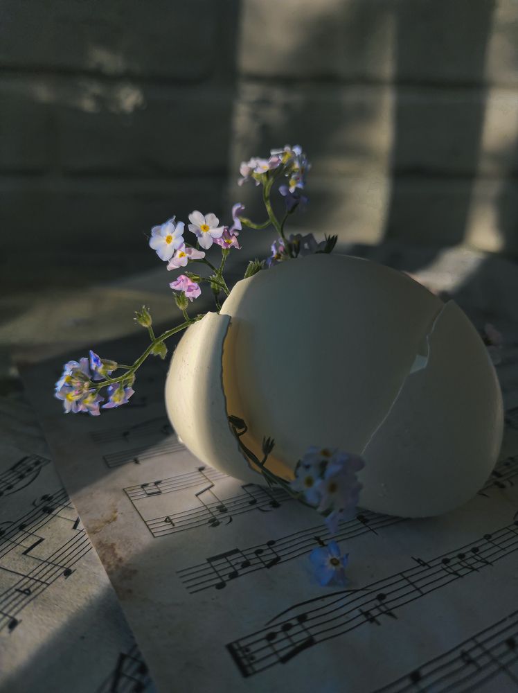 Фотография автора Марина Алексеевская