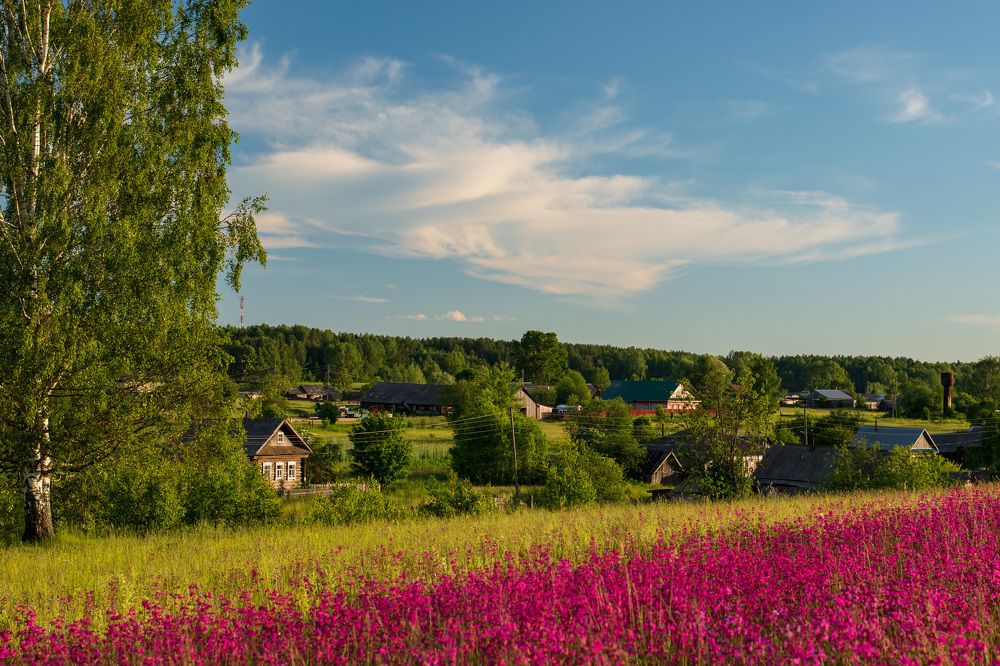 Photograph by Елена Баженова