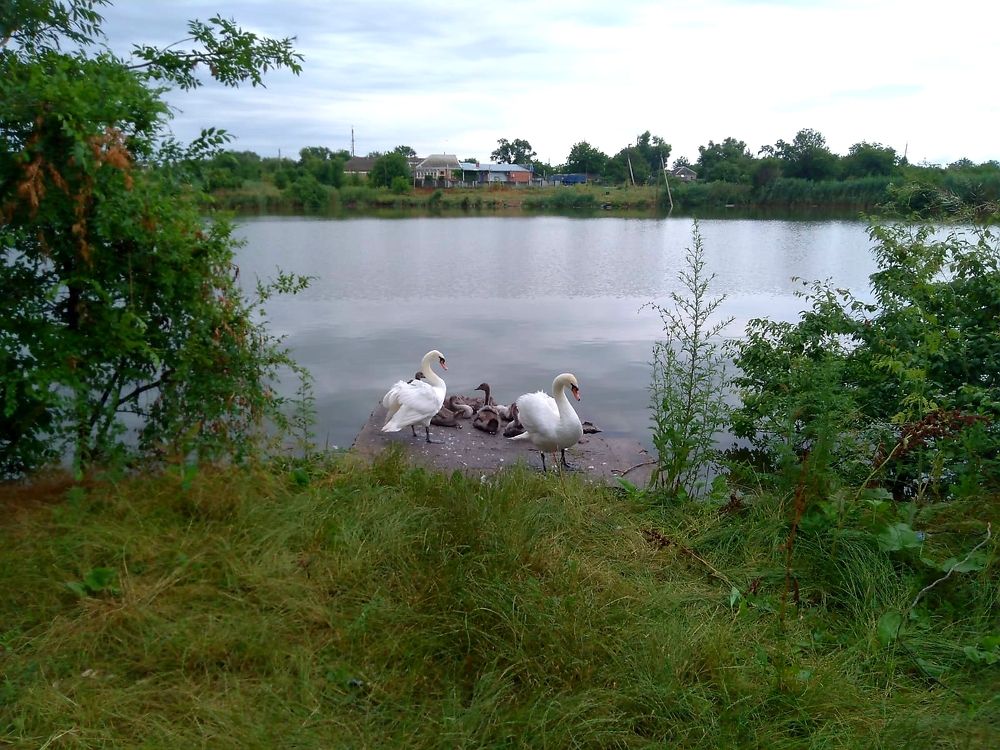 Photograph by Рафаил Манафов