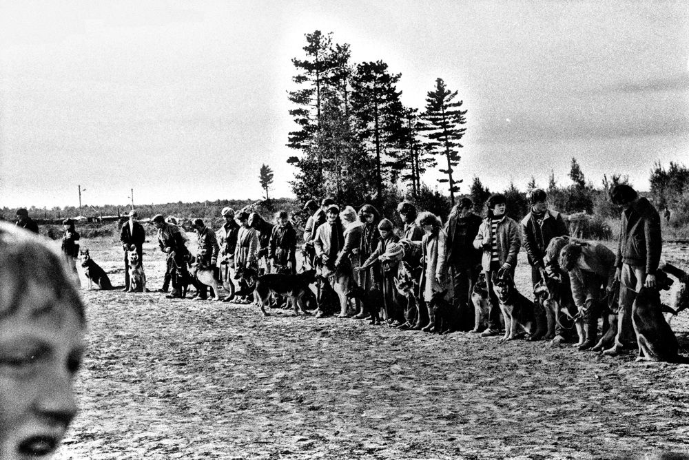 Детское впечатление...!)