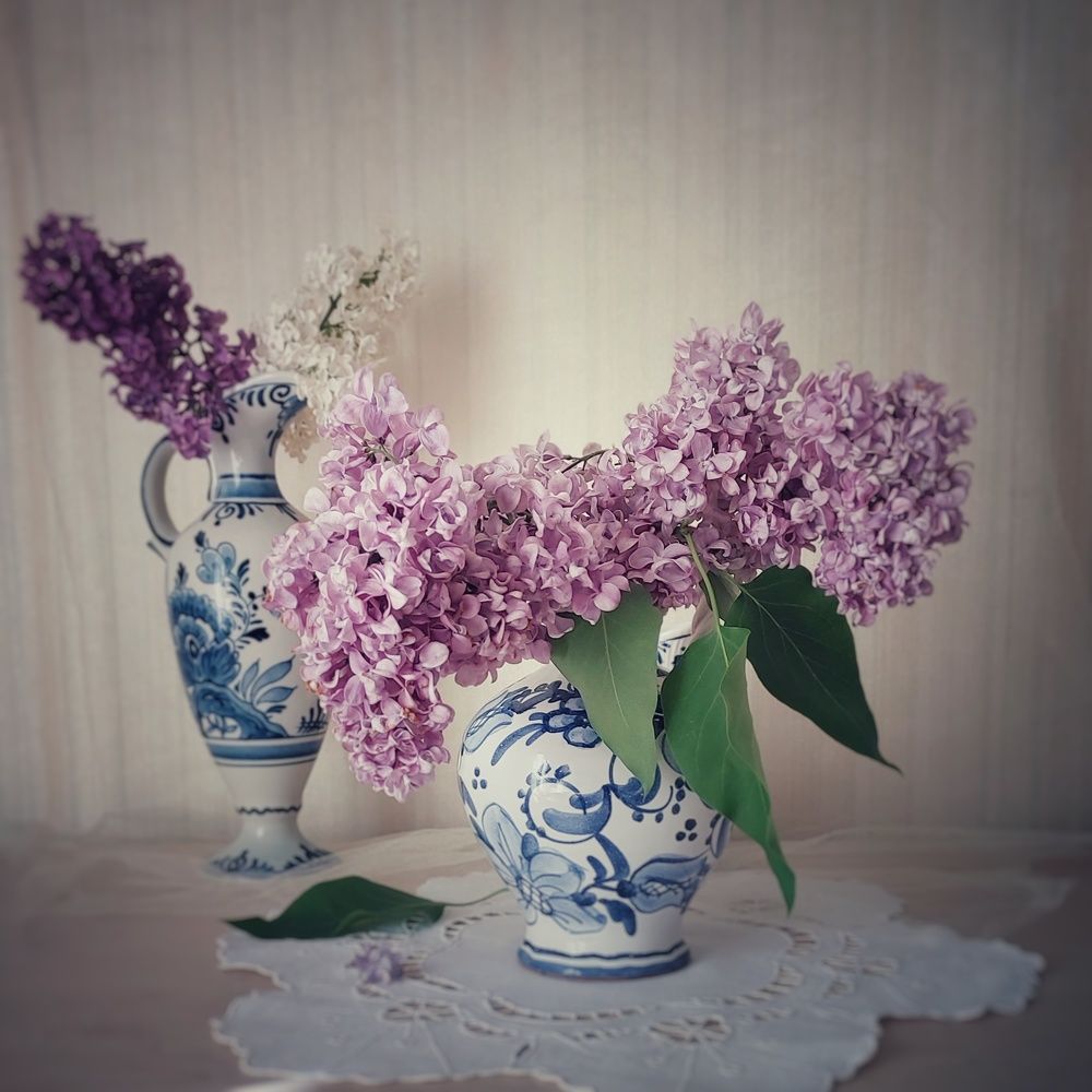 Photograph by Наталия Дроздова