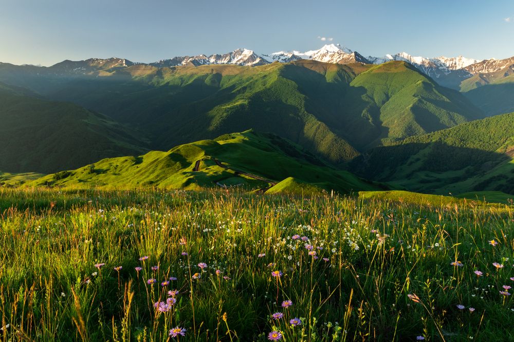 Photograph by Рамзан Давлетмирзаев