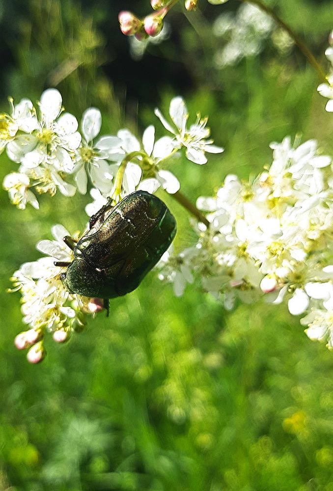 Photograph by Денис Геранькин