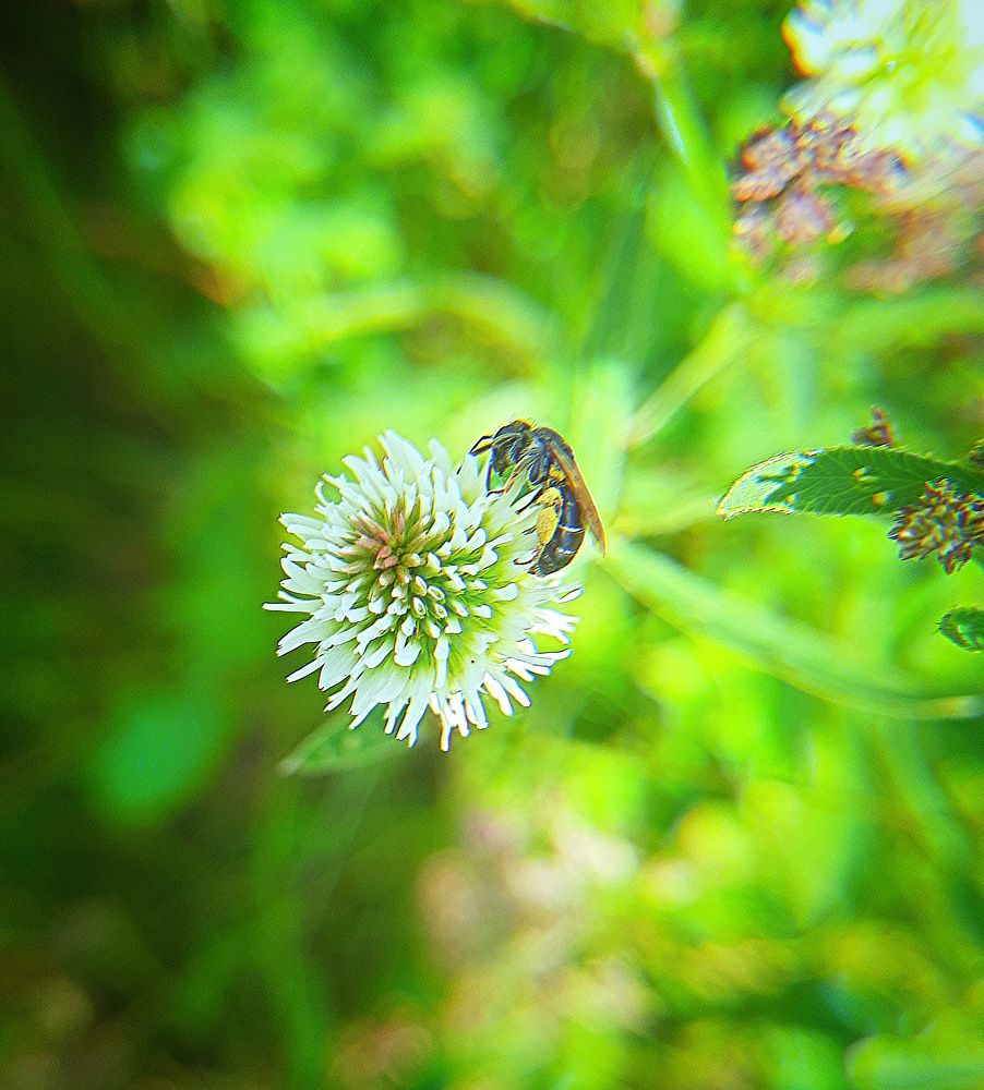 Photograph by Денис Геранькин