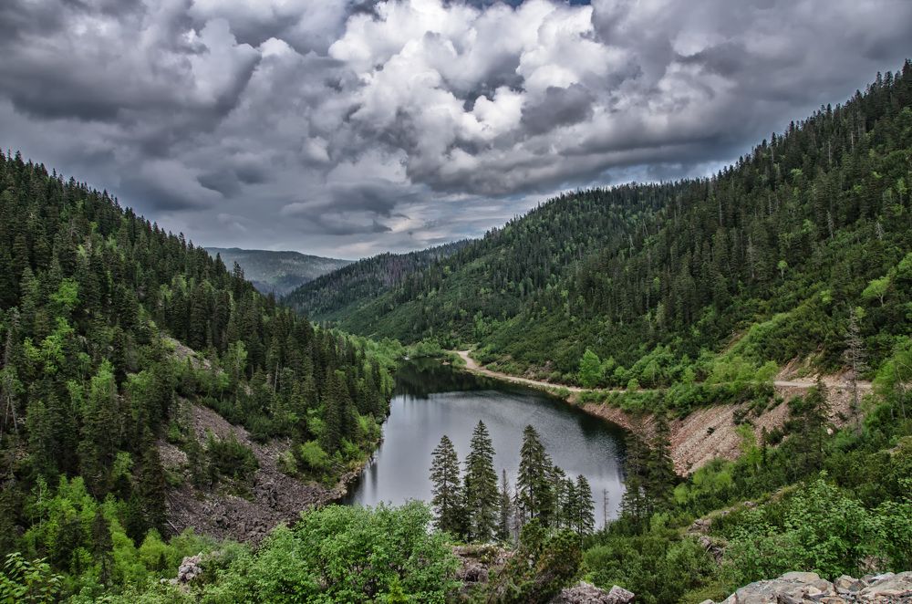 Photograph by Даниил Марков