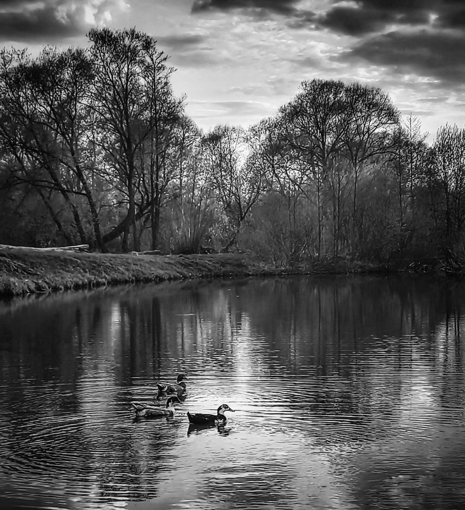 Photograph by Ольга Бородина