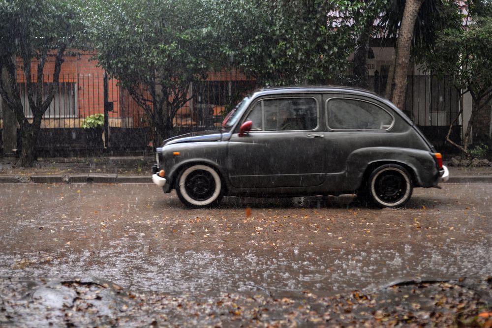 Photograph by Ricardo Kimmich