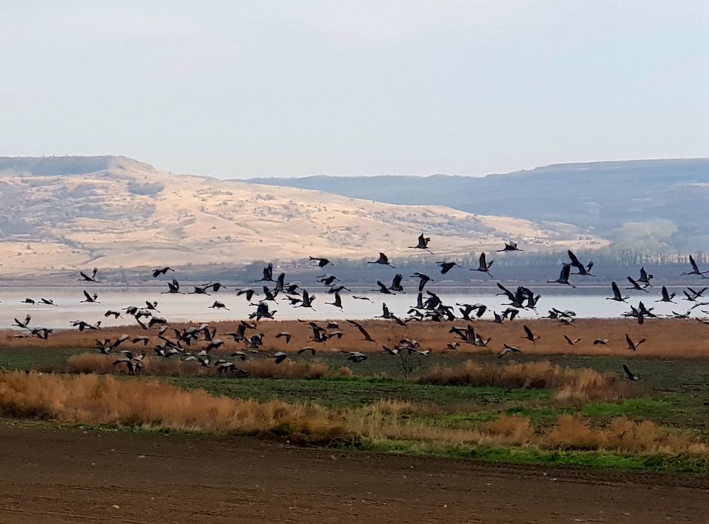 Photograph by Рафаил Манафов