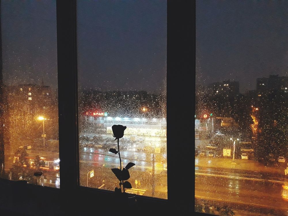 Photograph by Бутина Анастасия