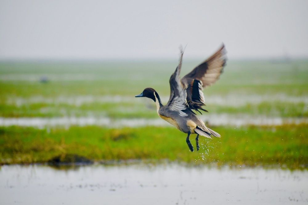 Photograph by Sweta Mishra