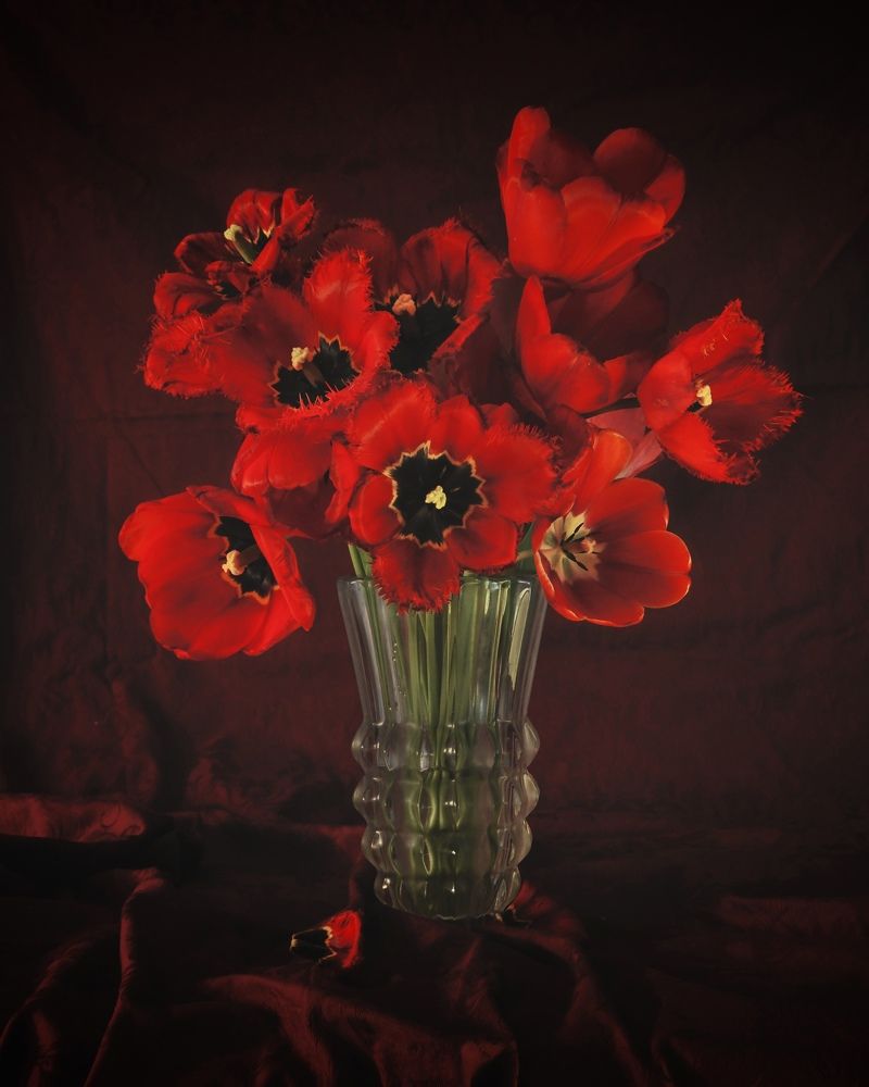 Photograph by Бутина Анастасия