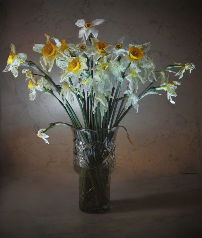 Photograph by Бутина Анастасия