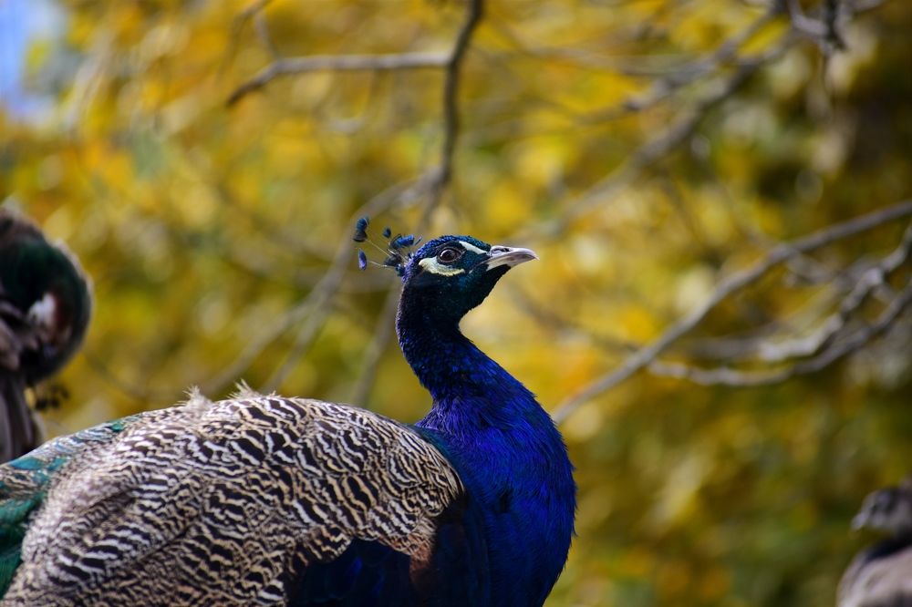 Photograph by Егор Колягин