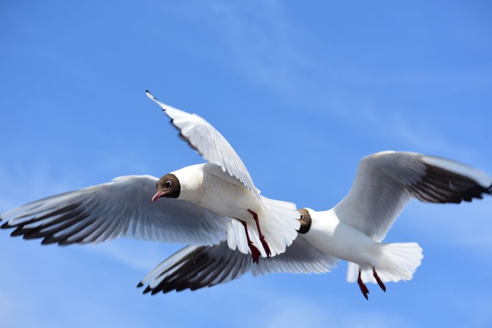 Photograph by Егор Колягин