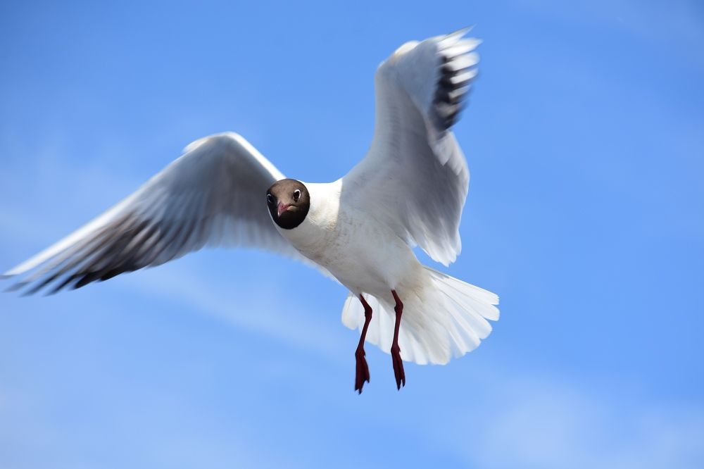 Photograph by Егор Колягин