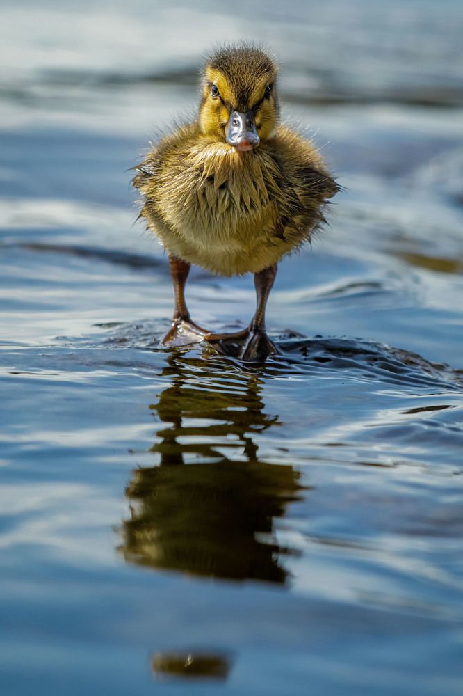 Photograph by Markéta Mastešová