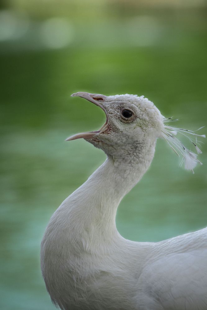Photograph by Markéta Mastešová