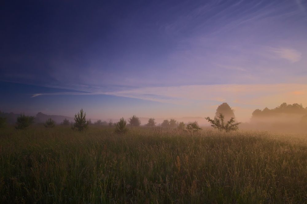 Photograph by Дмитрий Павлов