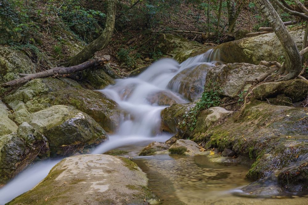 Фотография автора Дмитрий