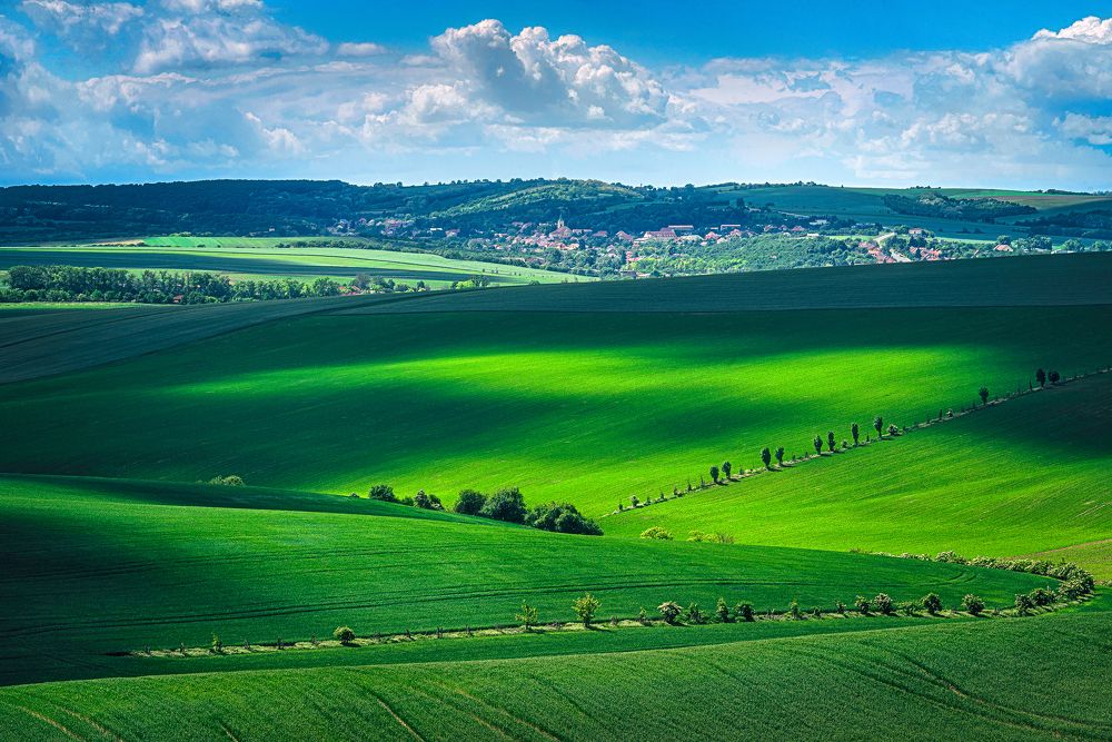 Photograph by Budyta Dariusz