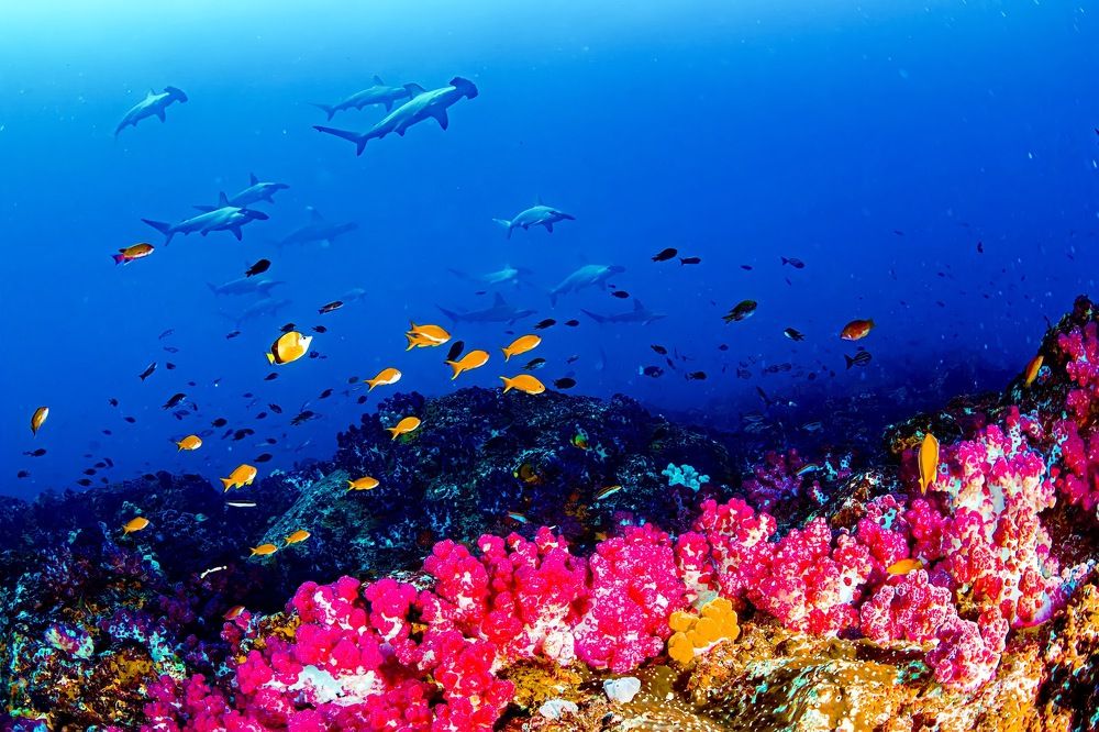 Photograph by HITOMI TSUCHIYA