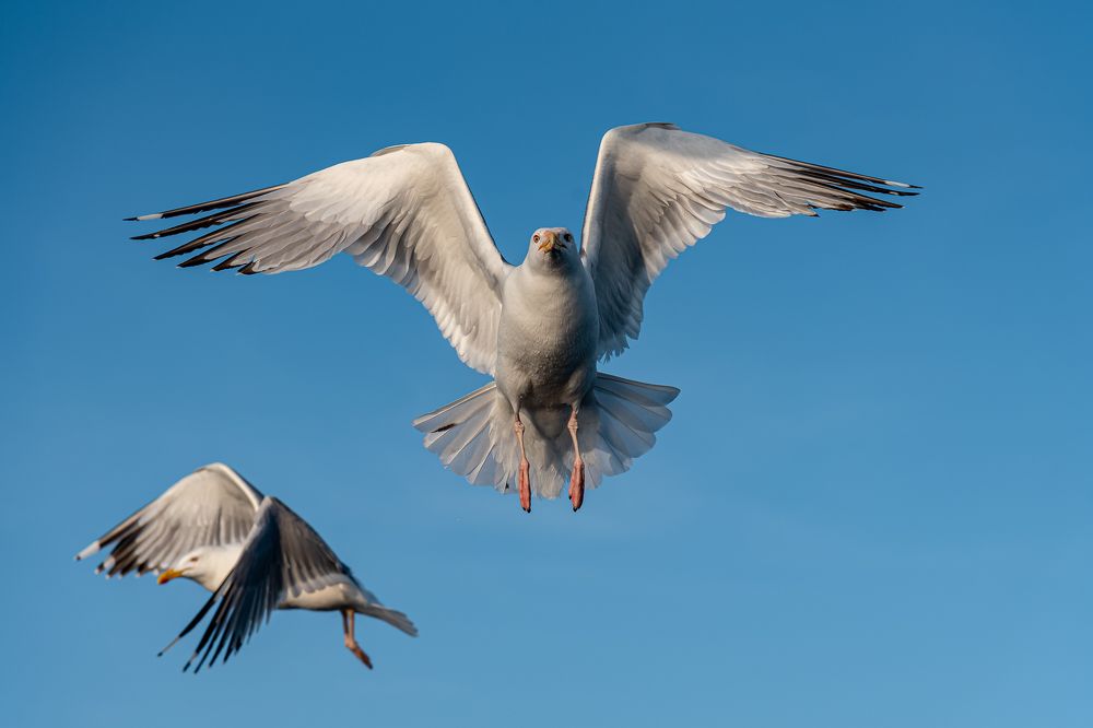 Photograph by Константин Костин