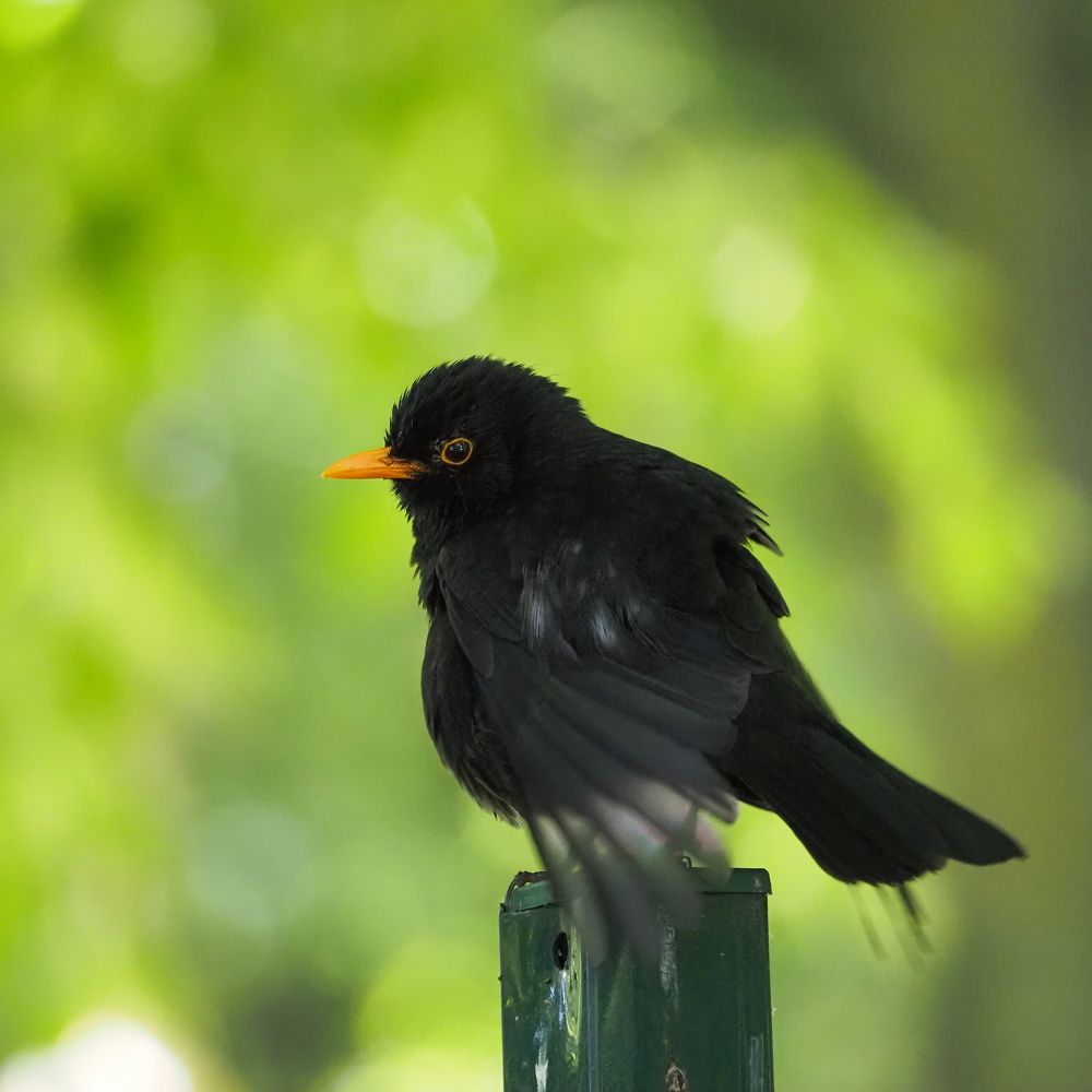 Photograph by андрей гусев