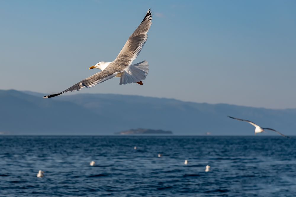 Photograph by Константин Костин