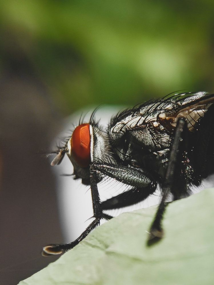 Photograph by Vishnu SR