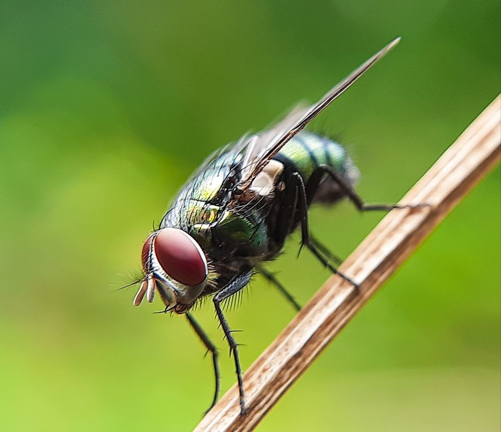 Photograph by Vishnu SR