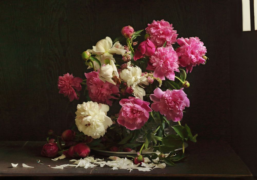 Фотография автора ТАТЬЯНА ЗАХАРОВА