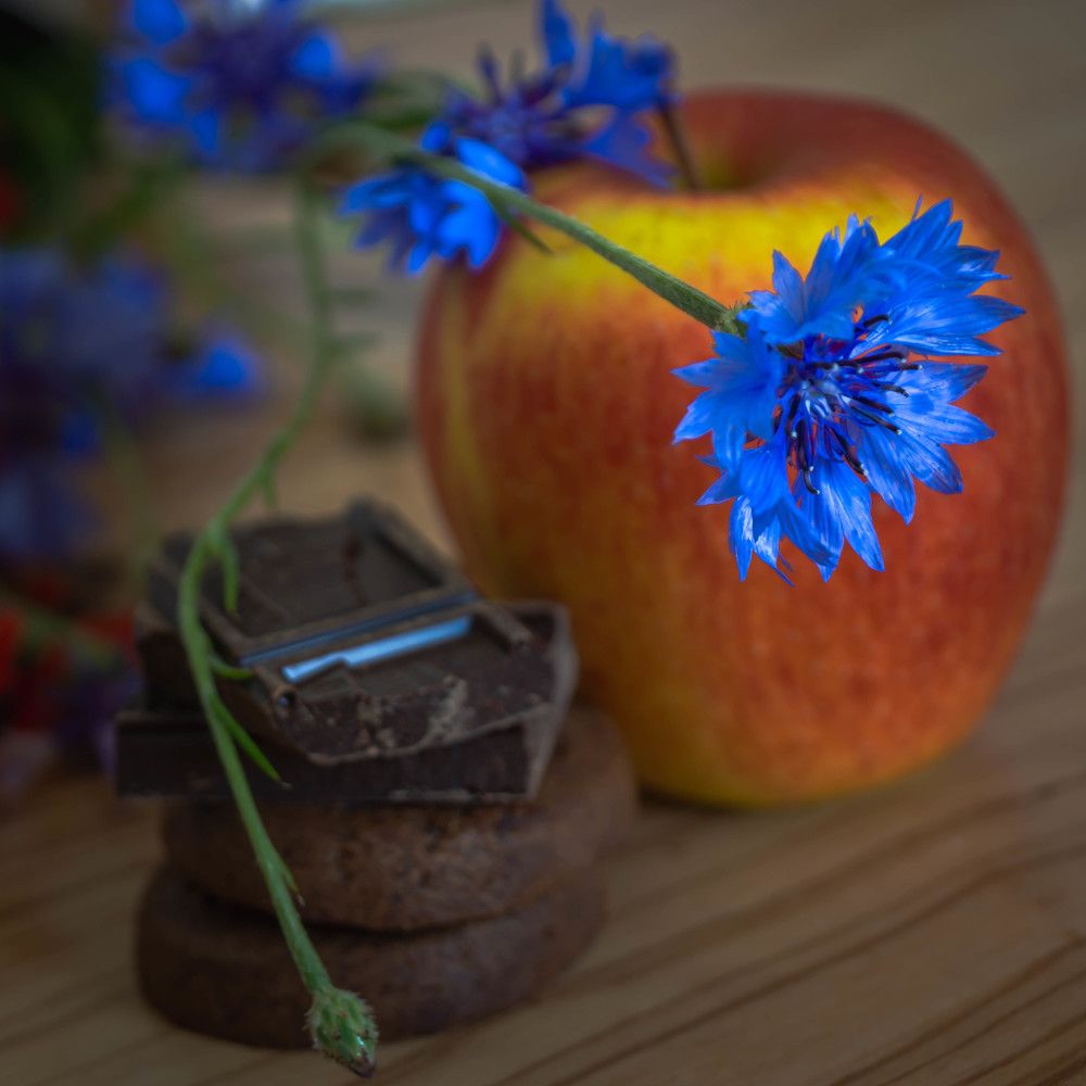 Photograph by Светлана Гонская